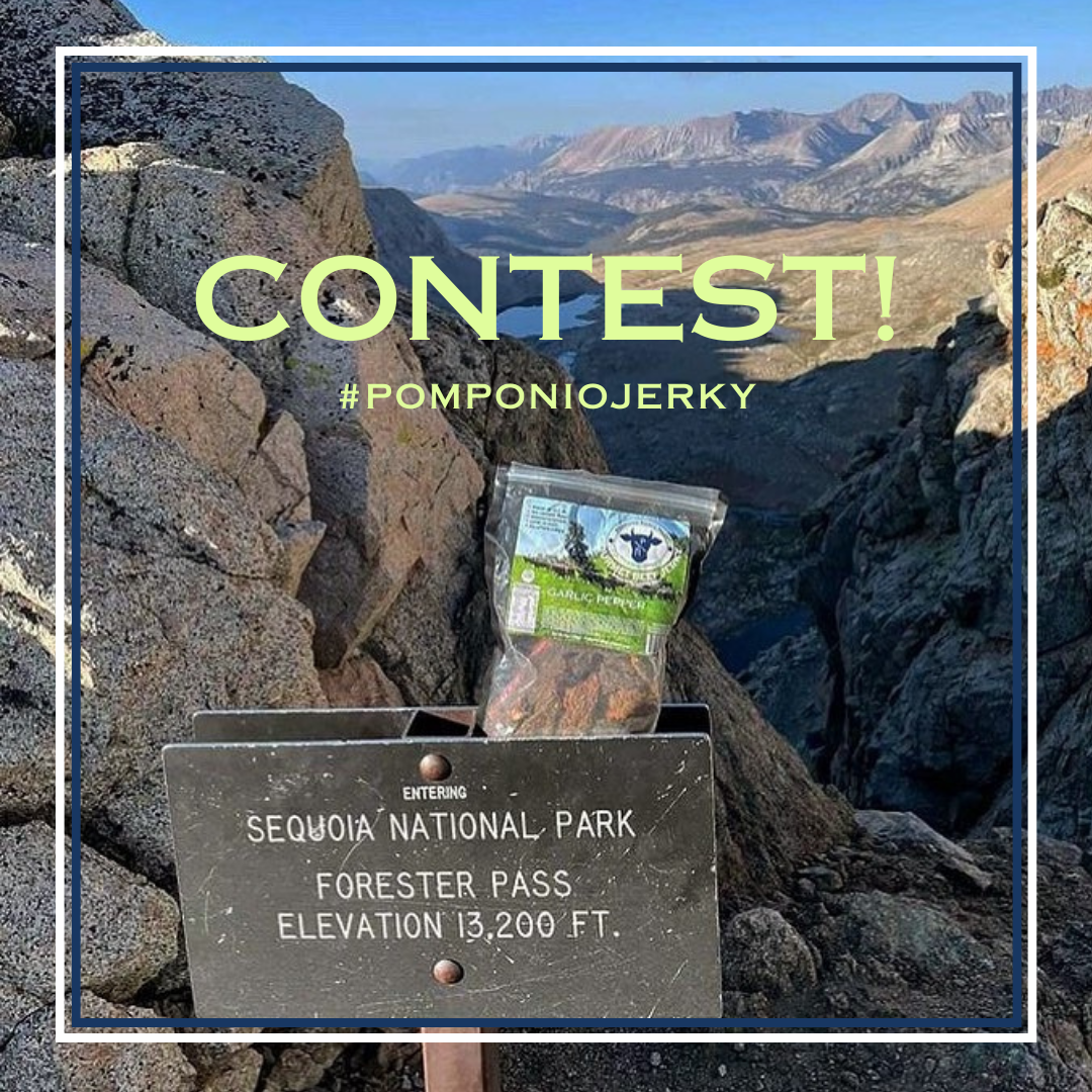 Instagram Contest
