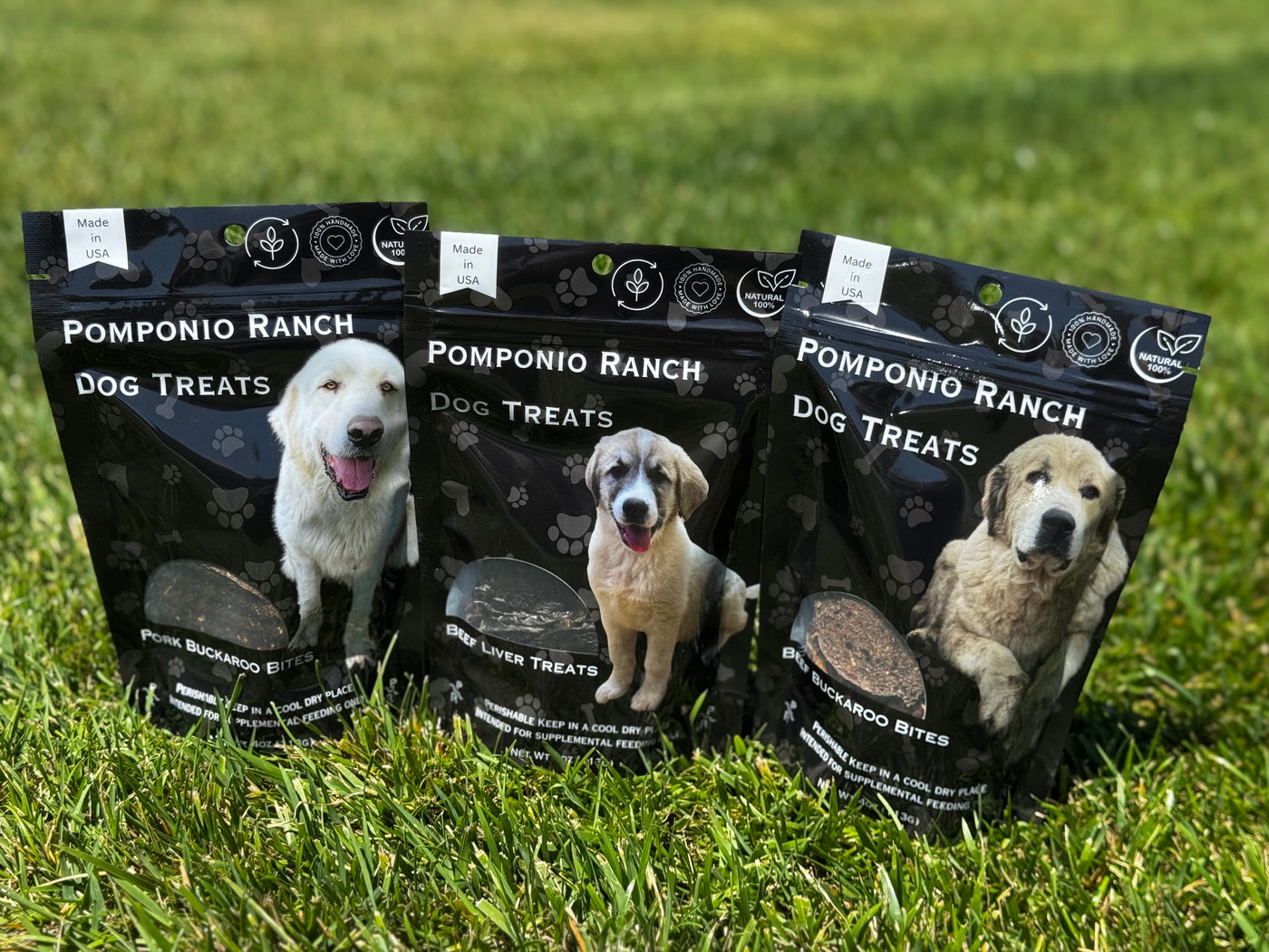 Dog Treat Bundle